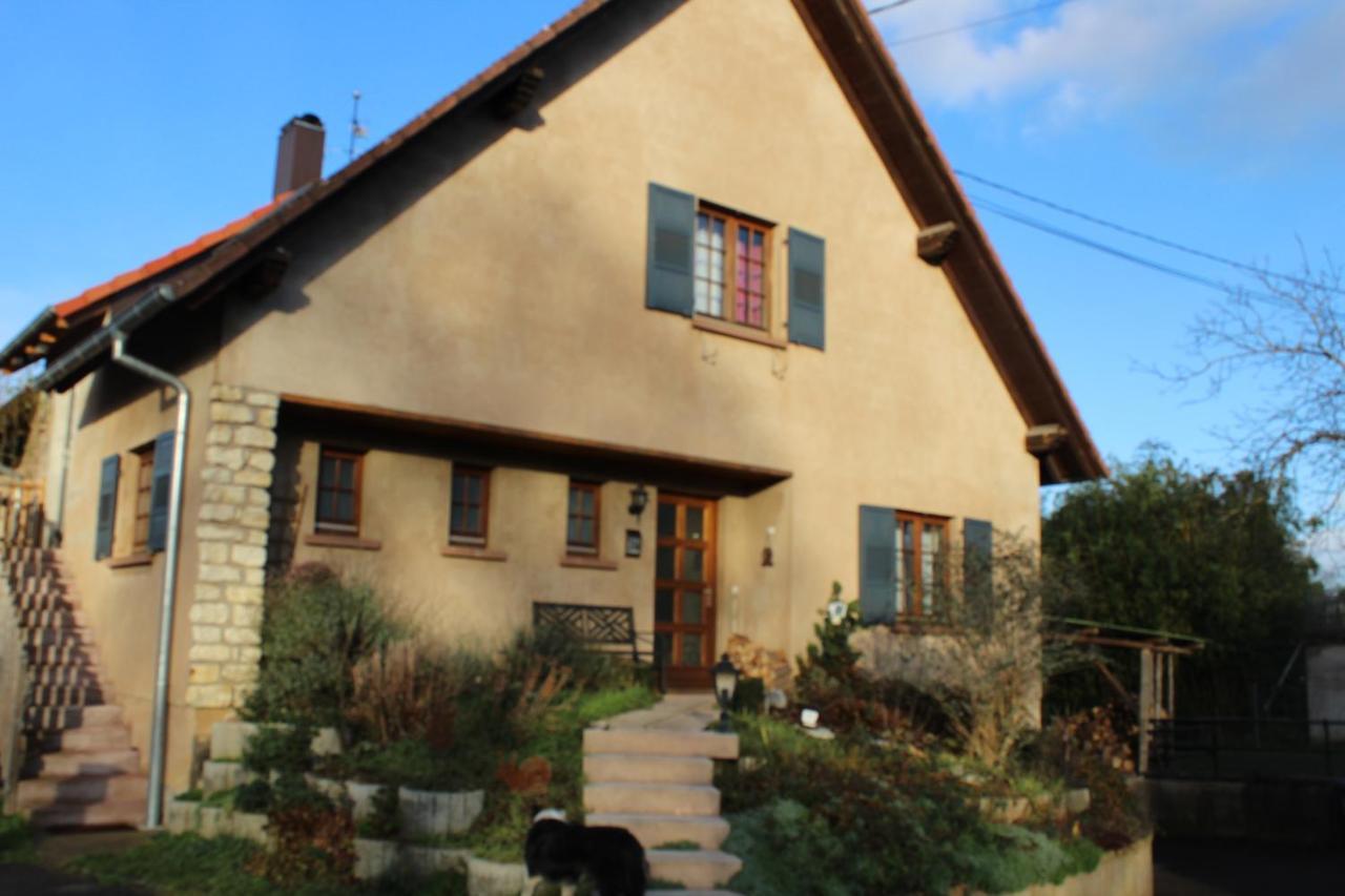 Gites Riviere Et Colline Niedermodern Экстерьер фото