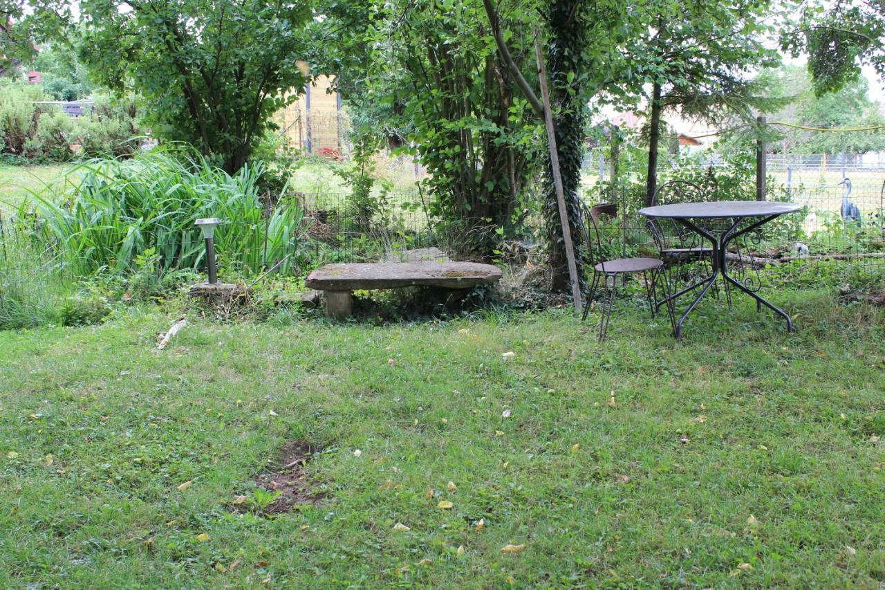 Gites Riviere Et Colline Niedermodern Экстерьер фото
